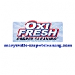 Revitalize Your Home with Professional Carpet Cleaning in Marysville